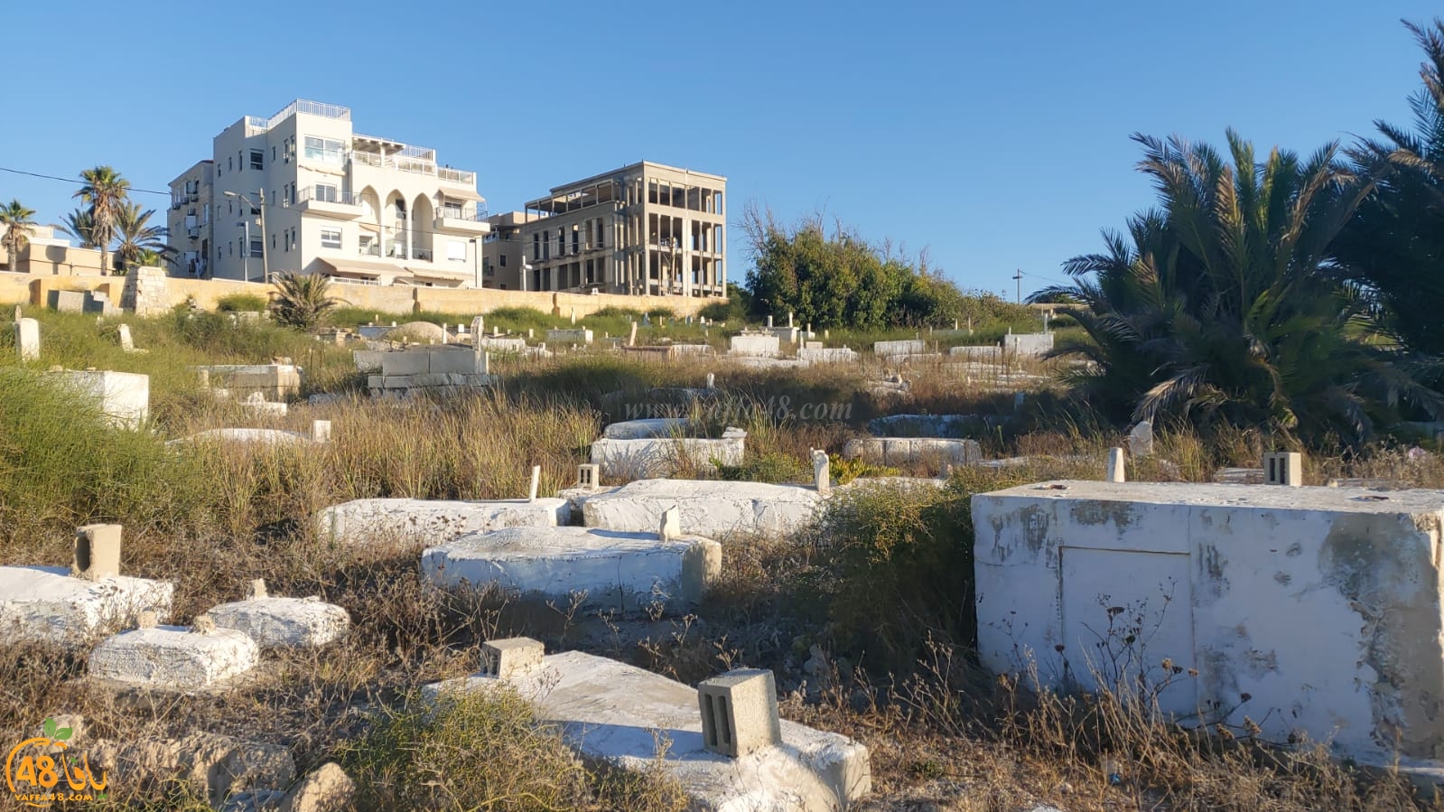 WhatsApp Image 2020-08-17 at 7.30.13 PM (2).jpeg.jpg.jpg